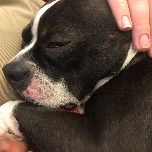 Meet your Posher, Danielle - Picture 1 of 1